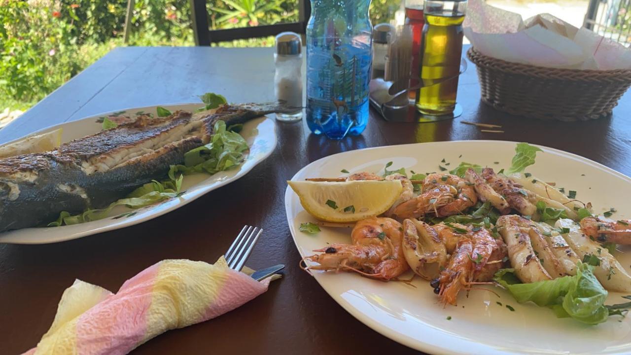אוריקום Hotel Alba-Gert מראה חיצוני תמונה